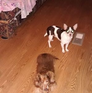 Meet your Posher, Janelle